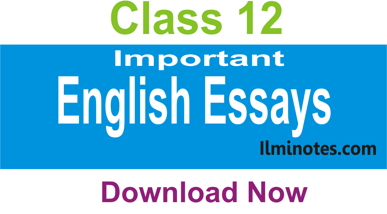 2nd year english essays pdf